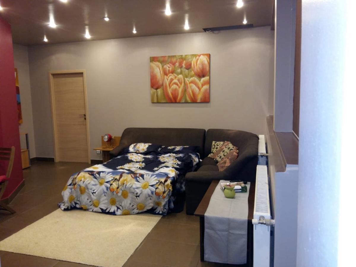 Penthouse Larry * Bucureşti